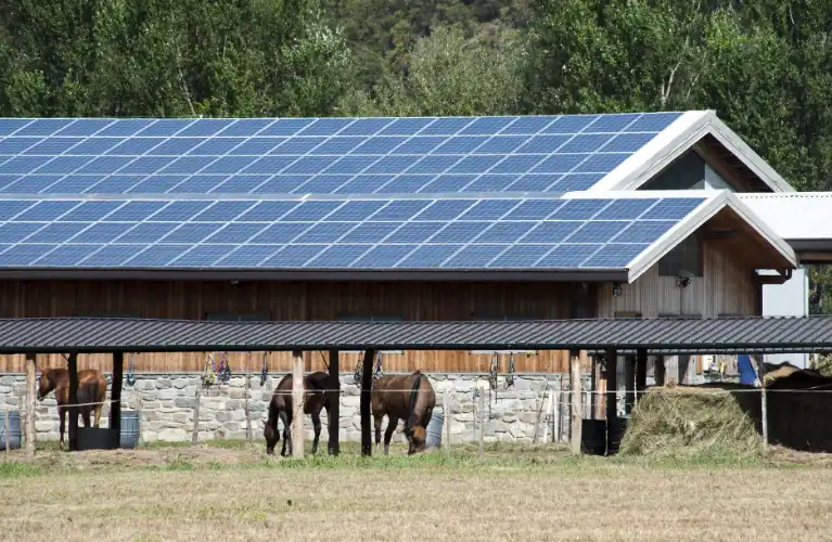 Solar panels mounted on the roof of a wooden barn with horses sheltered underneath, in a pastoral farm setting.